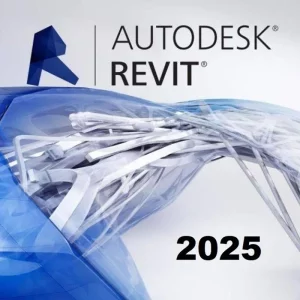 Revit 2025